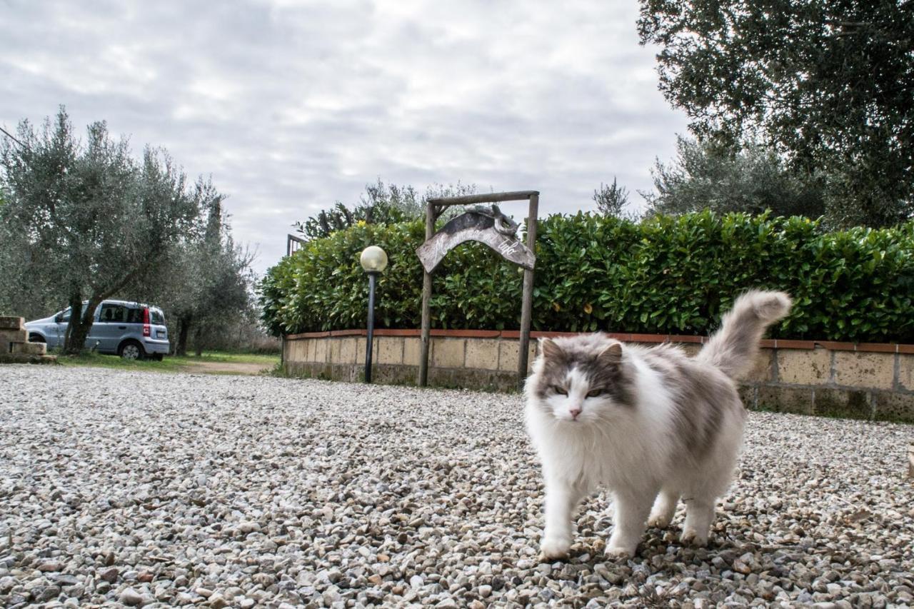 Country House Maremma Nel Tufo Pitigliano Exterior photo